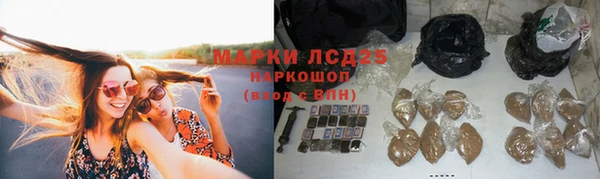 Альфа ПВП Елизово