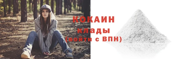 Альфа ПВП Елизово