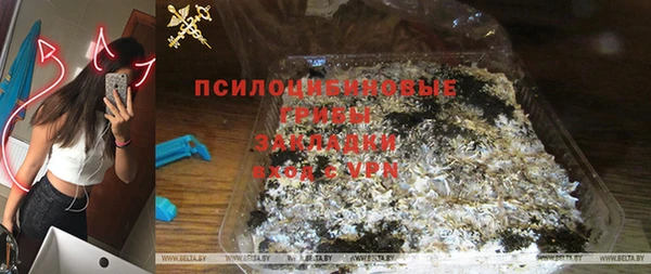 Альфа ПВП Елизово