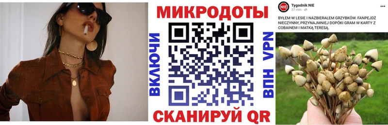 Галлюциногенные грибы мицелий  Ивантеевка 